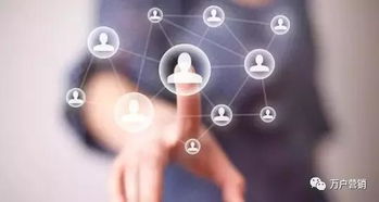 碩貝德科技攜手萬戶網絡，共拓軟件開發新篇章